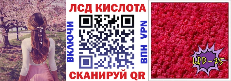 блэк спрут как войти  купить наркотики цена  Химки  Марки NBOMe 1,8мг 